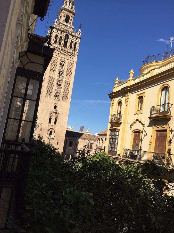 Plaza Nueva Appartement *